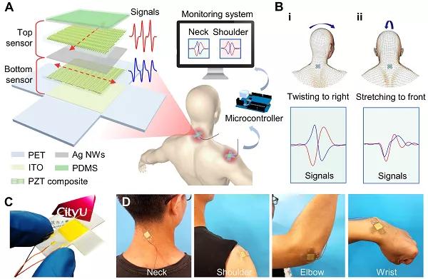 香港城大楊征保課題組Science子刊：一種新型柔性壓電陶瓷剪紙，用于預(yù)防關(guān)節(jié)疾病